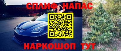 сатива Донецк