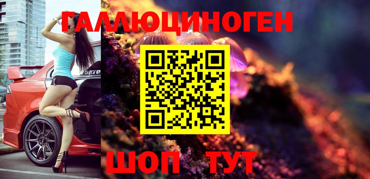 Клин  Галлюциногенные грибы Psilocybe  Галлюциногенные грибы мицелий  Вход с VPN 